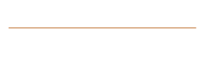 Shabbir & Rita Associates LLP - Chartered Accountants